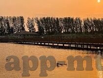 糖心app兑换码-糖心APP兑换码，解锁数字时代的优惠盛宴