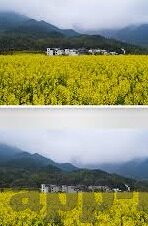糖心app收费吗-解疑糖心app是否收费的真相